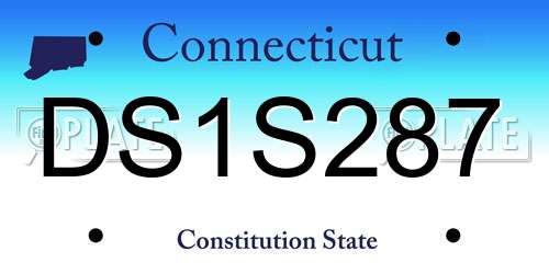 DS1S287 Connecticut License Plate