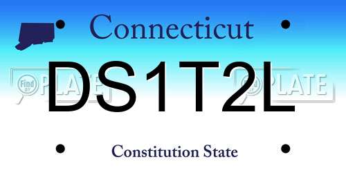 DS1T2L Connecticut License Plate