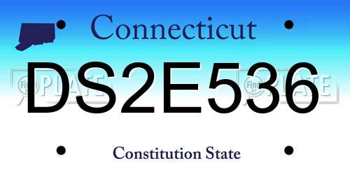 DS2E536 Connecticut License Plate