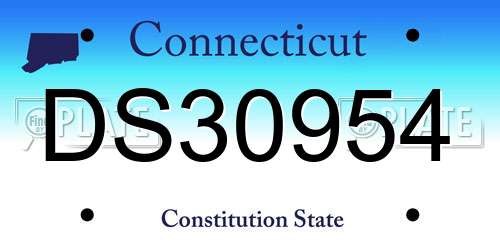 DS30954 Connecticut License Plate