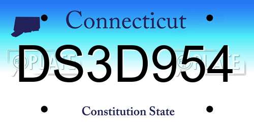 DS3D954 Connecticut License Plate