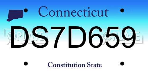 DS7D659 Connecticut License Plate