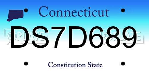 DS7D689 Connecticut License Plate