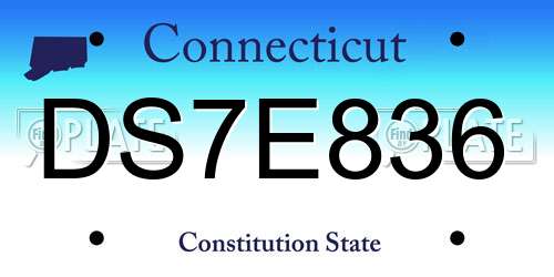 DS7E836 Connecticut License Plate