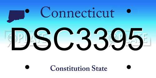 DSC3395 Connecticut License Plate