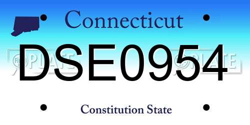 DSE0954 Connecticut License Plate