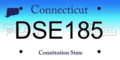 DSE185 Connecticut License Plate