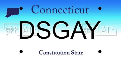 DSGAY Connecticut License Plate