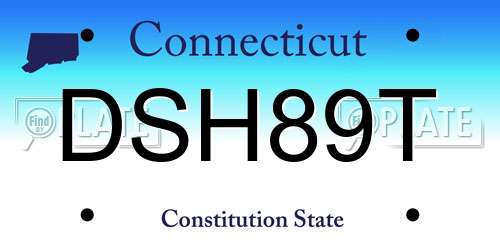 DSH89T Connecticut License Plate