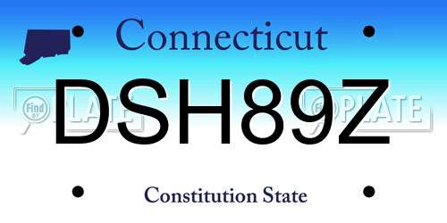 DSH89Z Connecticut License Plate