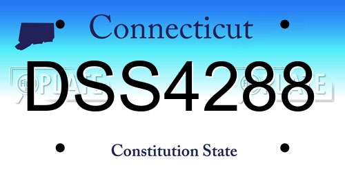 DSS4288 Connecticut License Plate
