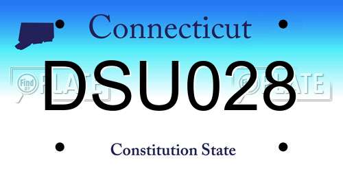 DSU028 Connecticut License Plate