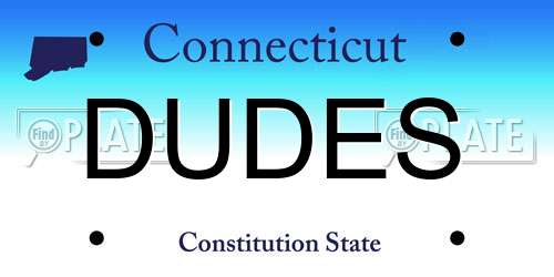 DUDES Connecticut License Plate