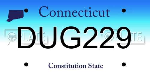 DUG229 Connecticut License Plate