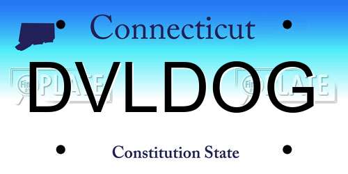 DVLDOG Connecticut License Plate