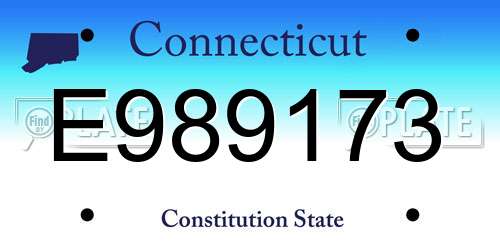 E989173 Connecticut License Plate