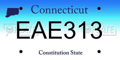 EAE313 Connecticut License Plate
