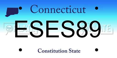 ESES89 Connecticut License Plate