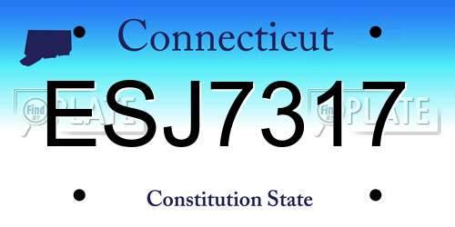 ESJ7317 Connecticut License Plate