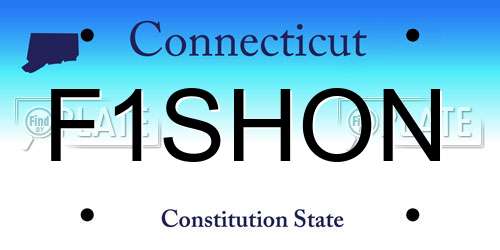 F1SHON Connecticut License Plate