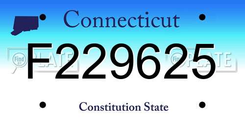 F229625 Connecticut License Plate