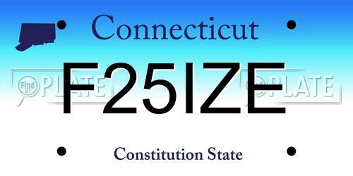 F25IZE Connecticut License Plate