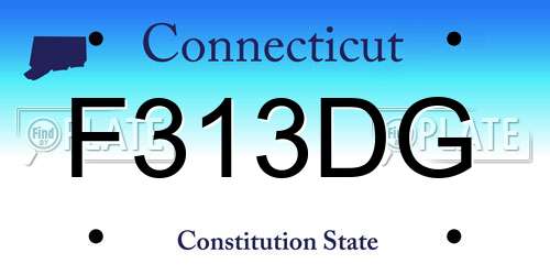 F313DG Connecticut License Plate