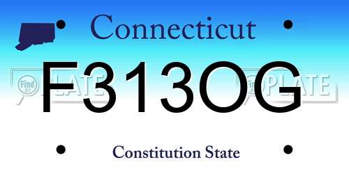 F313OG Connecticut License Plate