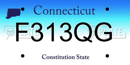 F313QG Connecticut License Plate