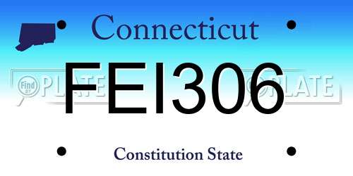 FEI306 Connecticut License Plate
