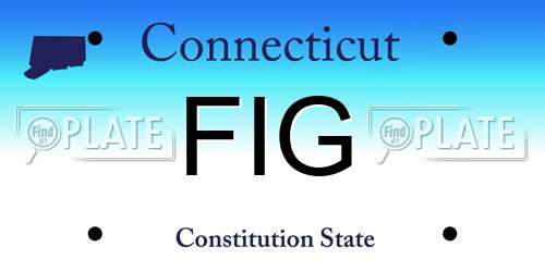 FIG Connecticut License Plate
