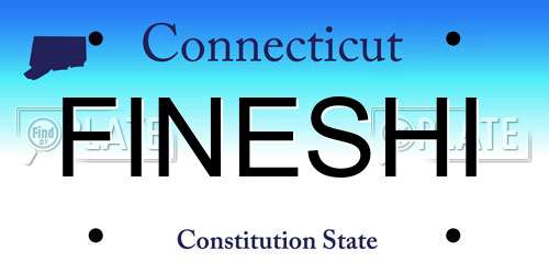FINESHI Connecticut License Plate