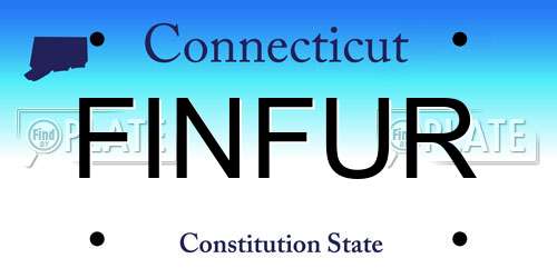 FINFUR Connecticut License Plate
