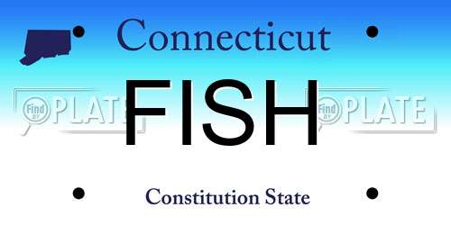 FISH Connecticut License Plate
