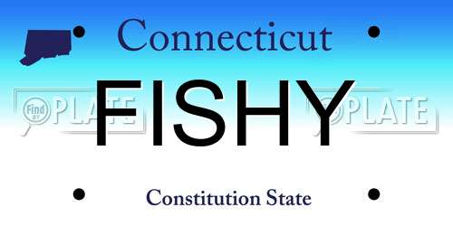 FISHY Connecticut License Plate