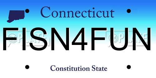 FISN4FUN Connecticut License Plate