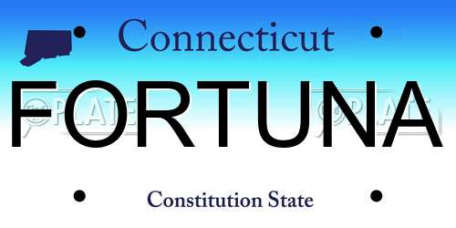 FORTUNA Connecticut License Plate