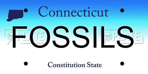 FOSSILS Connecticut License Plate