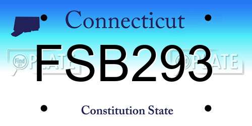 FSB293 Connecticut License Plate
