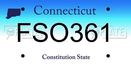 FSO361 Connecticut License Plate
