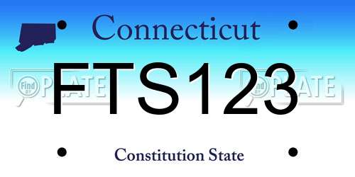 FTS123 Connecticut License Plate