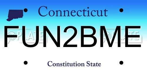 FUN2BME Connecticut License Plate