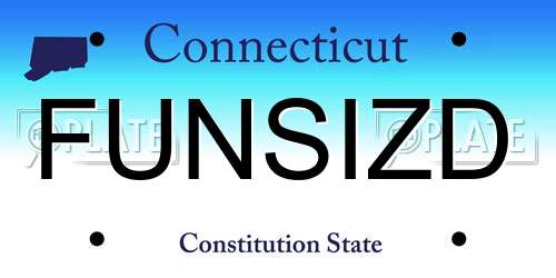 FUNSIZD Connecticut License Plate