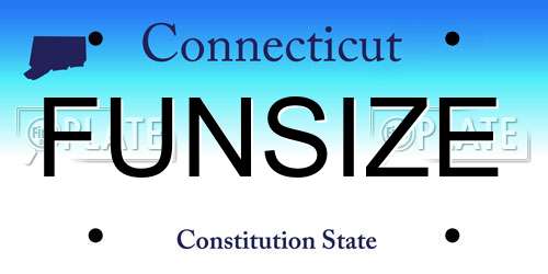 FUNSIZE Connecticut License Plate