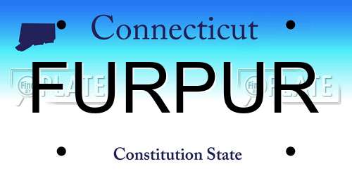 FURPUR Connecticut License Plate