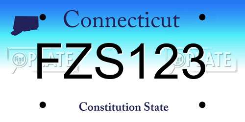 FZS123 Connecticut License Plate