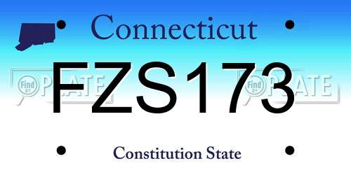 FZS173 Connecticut License Plate