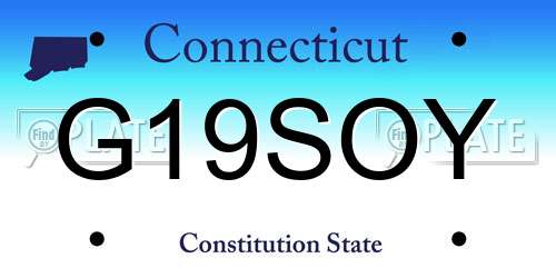 G19SOY Connecticut License Plate