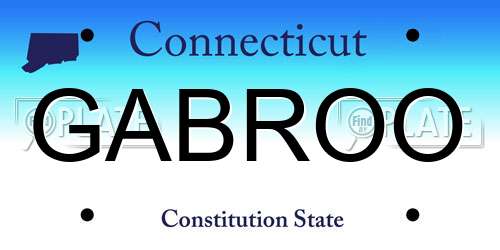 GABROO Connecticut License Plate