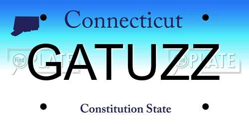 GATUZZ Connecticut License Plate